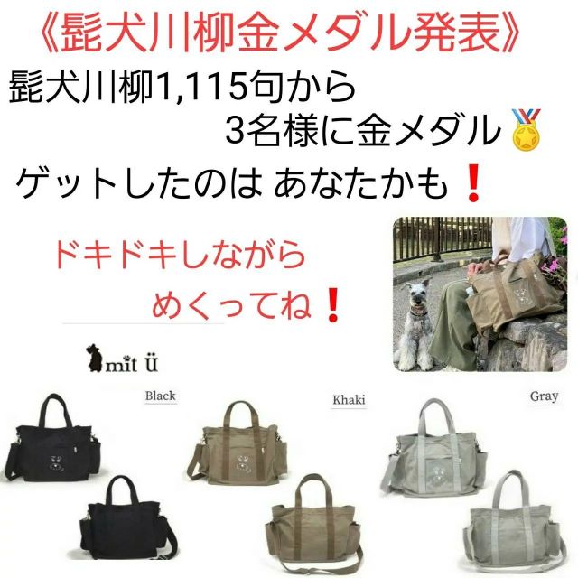 『髭犬川柳2021』に、シュナ愛溢れる1,115句の投稿を頂きありがとうございました。

どれも素晴らしい川柳ばかりで選考もかなり悩みました。そして髭犬祭発足から大切にしてきた思いに沿った川柳を選ばせて頂きました。

当初、金銀銅と考えておりましたが3点とも甲乙つけがたく3点共に金メダルとさせて頂きました。

では、髭犬川柳2021金メダル3点とシークレット賞として実行委員特別賞の発表です。

金メダル賞（3名）
@s.aya.coco 様
「愛しさに　浮かぶ雲さえ　シュナに見え」
◆この雲を見たとき、きっと飼い主さんはシュナちゃんと一緒じゃなかったと想像できます。

頭の隅っこ、いや、中心にいつでもシュナちゃんがいるほとんどのシュナオーナーさん。
それを見事に表現した、シュナ愛溢れる川柳に金メダルです。

金メダルおめでとうございます！

@dhnaoko 様
「保護犬です　今じゃ立派な　過保護犬」
◆とっても微笑ましい川柳で、保護犬と過保護犬の掛詞もクスッと笑っちゃいました。
保護犬活動を応援してきた髭犬祭実行委員会にも嬉しい川柳でした。
愛情いっぱい注がれて、幸せになったシュナちゃんに金メダルです。

@miko.kota.raburi.leo 様
「おともだち　いっぱいできたよ　髭犬祭」
◆楽しかった髭犬祭、そしてお友達がたくさんできた喜びを素直にシンプルに表現してくれた川柳です。

髭犬祭発足の最大の理由が『お友達作りの場を作りたい！』なので、この川柳は実行委員会の中でも高評価でした。

実行委員がとっても嬉しく思ったこの川柳に金メダルです。

金メダルおめでとうございます！

#髭犬祭 #髭犬祭2021online #髭犬祭2021オンライン #髭犬川柳2021 #髭犬祭からのお知らせ #schnauzercarnival